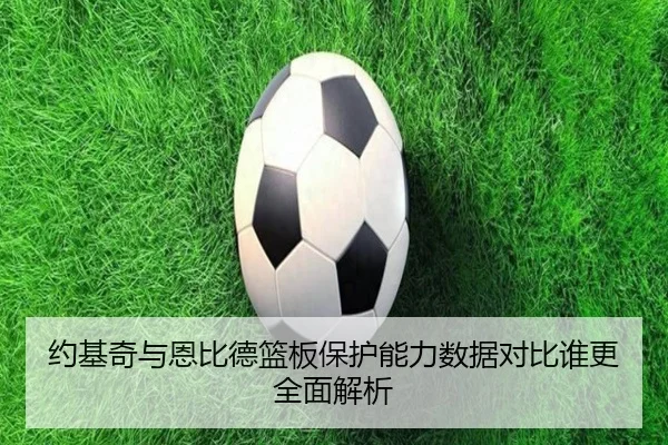 约基奇与恩比德篮板保护能力数据对比谁更全面解析
