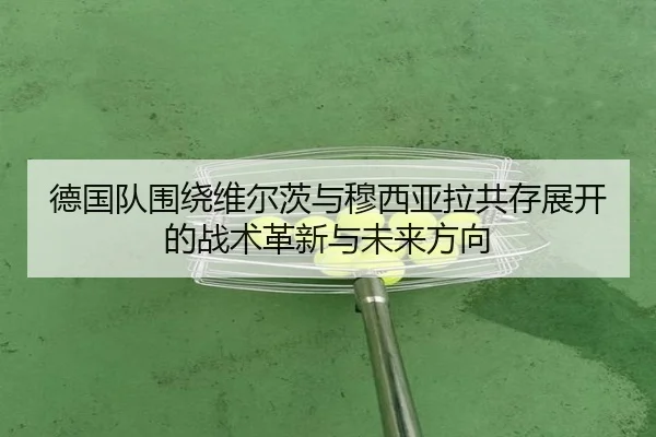 德国队围绕维尔茨与穆西亚拉共存展开的战术革新与未来方向