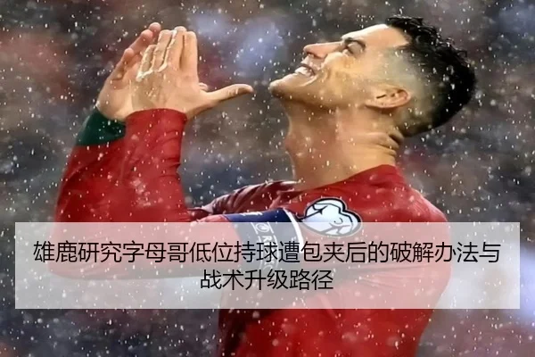 雄鹿研究字母哥低位持球遭包夹后的破解办法与战术升级路径